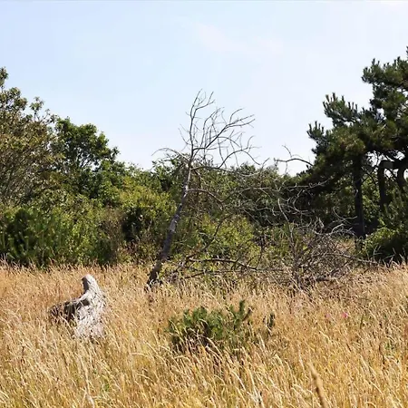 Σπίτι διακοπών 12241-sjaellands-odde-pilehavevej-2 Yderby